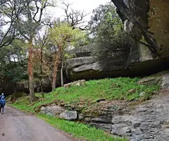 Fotografia de CAMÍ DE SANTA MAGDALENA, BALMA DEL (1 de 3)