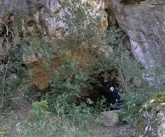 Photograph of DRAC DE VILARJOAN, COVA DEL (1 of 4)