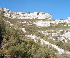 Fotografia de BONICA, COVA (2 de 18)