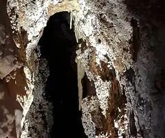 Fotografia de SERRA DEL MAS, COVA SM-16 DE LA (9 de 9)