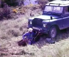 Fotografia de VACA, FORAT DE LA (1 de 1)