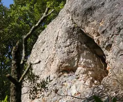 Photograph of PENJADA DEL MONTCAU, COVA (1 of 1)