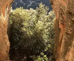 Fotografia de SENGLAR, TUTA DEL (4 de 4)