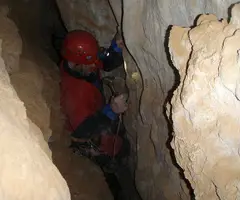 Fotografia de CINGLE, AVENC DEL (6 de 8)