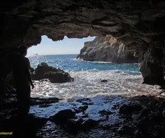 Fotografia de FORTÍ DE LA REINA, COVA DEL (3 de 4)