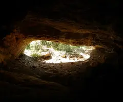 Fotografia de AIGUA DEL PAS NOU, COVA DE L' (8 de 8)
