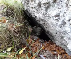 Photographie de DIMONI, COVA DEL (3 sur 3)
