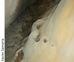 Fotografía de PIQUETES, COVA DE LES (3 de 4)