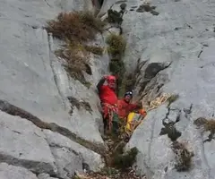 Fotografía de OLLES, FORAT DE LES (1 de 9)