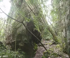 Fotografia de MOTLLATS DE LA PONA, AVENCOTS DELS (3 de 6)