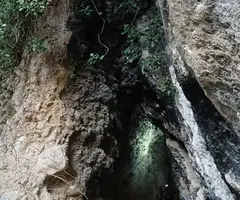 Photographie de PICAMILL DE BAIX, COVA DE (1 sur 2)