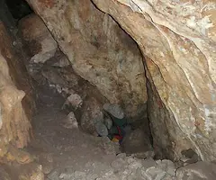 Fotografía de ARTÚS-FORAT DEL VENT, COVA D' (8 de 8)