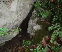 Fotografia de PG-2, COVA (5 de 5)