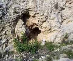 Fotografia de TALLADA D'EN PO ROBERT, COVA (2 de 2)