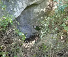 Fotografia de GOLFES DEL XALAU, COVA DE LES (1 de 3)