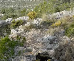Photographie de LLIGALLO DE ROCA ROJA, COVA DEL (1 sur 2)