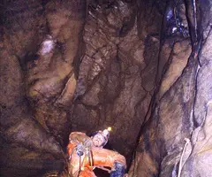Photograph of TEC, BÒFIA DEL (2 of 7)