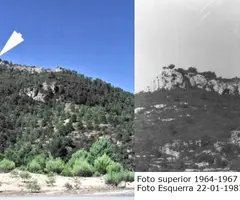 Photographie de ARBONÈS, COVA DE L' (1 sur 1)