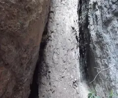 Fotografia de GEPEG, COVA (2 de 2)