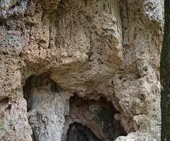 Fotografía de AVELLANER, COVA DE L' (1 de 2)