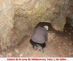 Photograph of VALLDECERVES, COVA DE (2 of 2)