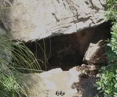 Fotografia de PERDUDA, COVA (1 de 2)