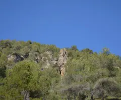 Fotografia de AVI, COVA DE L' (1 de 1)