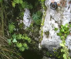 Fotografía de FONDAL, AVENC DEL (1 de 6)