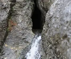 Photographie de DONZELLA, FORAT DE LA (1 sur 1)