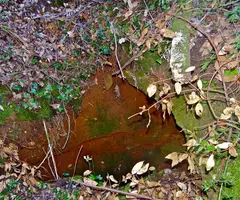 Photographie de CAVALL, AVENC FALS DEL (1 sur 1)