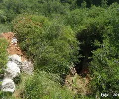 Fotografia de ARQUEÒLEGS, AVENC DELS (4 de 5)
