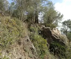 Fotografia de CINGLE DE CAL DURO, COVA DEL (2 de 7)