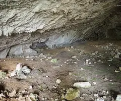 Fotografía de PASTOR, COVA DEL (4 de 12)