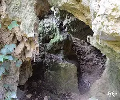 Fotografia de FONTANIL, COVA DE (3 de 4)