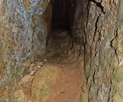 Fotografia de FONT DE LA VINYOTA, BALMA DE LA (2 de 2)