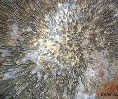 Fotografia de DOS, COVA DEL (2 de 7)