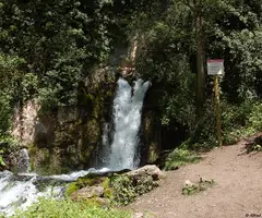 Photographie de LLET, BULLIDOR DE LA (1 sur 4)