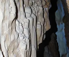 Fotografia de COSTA D'ALZINA, GRALLER DE (5 de 11)