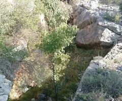 Fotografia de CAN SADURNÍ, AVENC PETIT DE (1 de 3)
