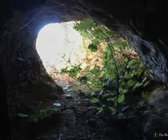 Fotografia de BARTOMEU, COVES DE (2 de 4)