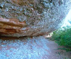Photograph of CARA NORD DEL MONTCAU, BALMA DE LA (1 of 1)