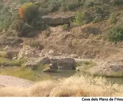 Fotografia de PLANS DE L'HOSTAL, COVA DELS (1 de 2)