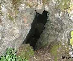 Fotografia de TEIX, AVENC DEL (2 de 2)