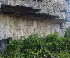 Fotografia de CARRASQUES, COVA DE LES (1 de 2)