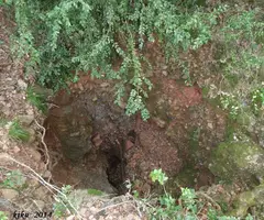 Fotografia de FONT FALSA DE GUANTA, LA (3 de 4)