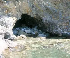 Fotografía de RATES, COVA DE LES (2 de 3)