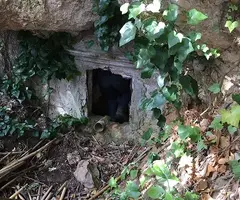 Fotografia de FONT DEL CATALINO, COVA DE LA (1 de 3)