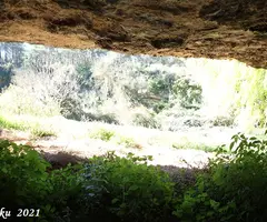 Fotografía de FORESOS, BALMA DELS (8 de 8)