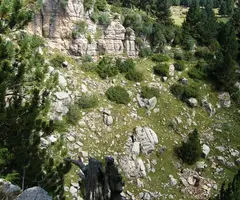 Fotografía de PEDRÓ, BÒFIA DEL (2 de 5)