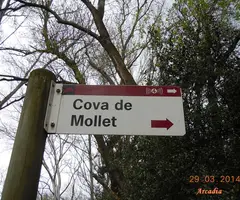 Fotografía de MOLLET, COVA D'EN (1 de 6)